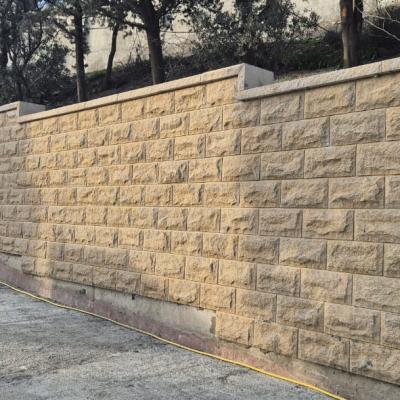 Whatsapp Image 2025 03 05 At 17.46.52 4